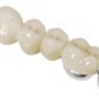 Esteticor Biennor CF Esteticor Biennor CF