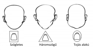 A fog formájának kiválasztása az arc formája szerint történik.